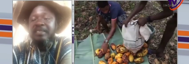 Concerned Farmers Association warns Cocoa farmers against selling land