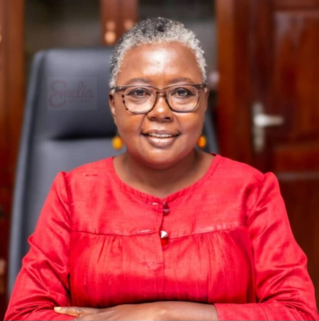 Ghana announces 2026 marine closed fishing season