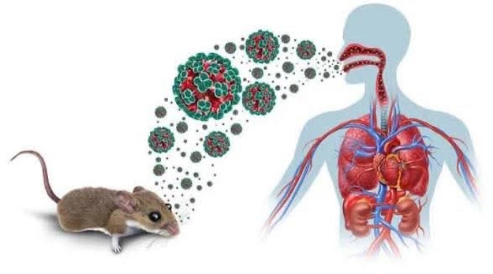 GHS issues precautionary measures as Hantavirus cases reported on cruise ship in Cape Verde