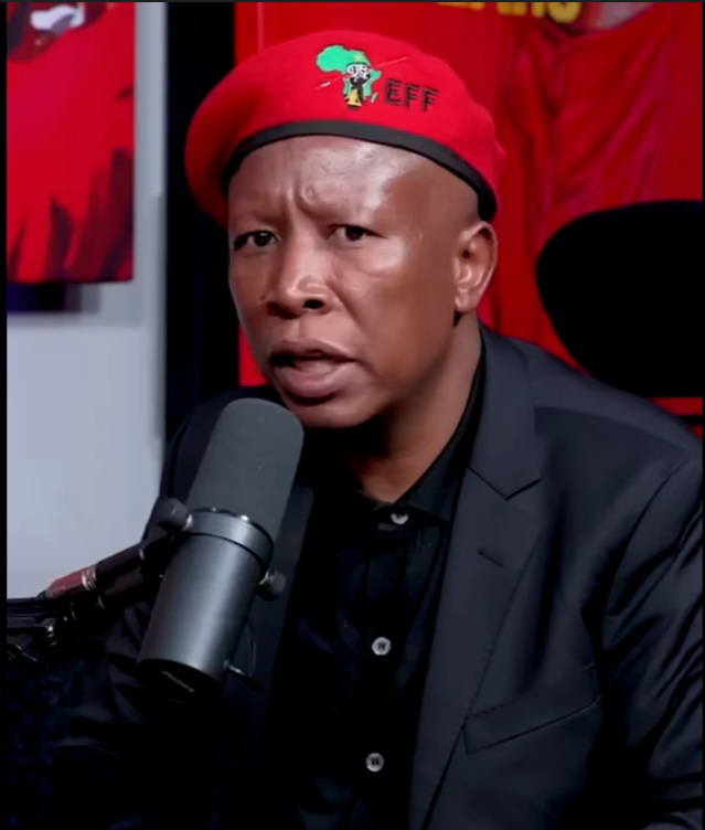 'The Ghana's response was unnecessary, it now creates an impression that we are all like that' - Julius Malema
