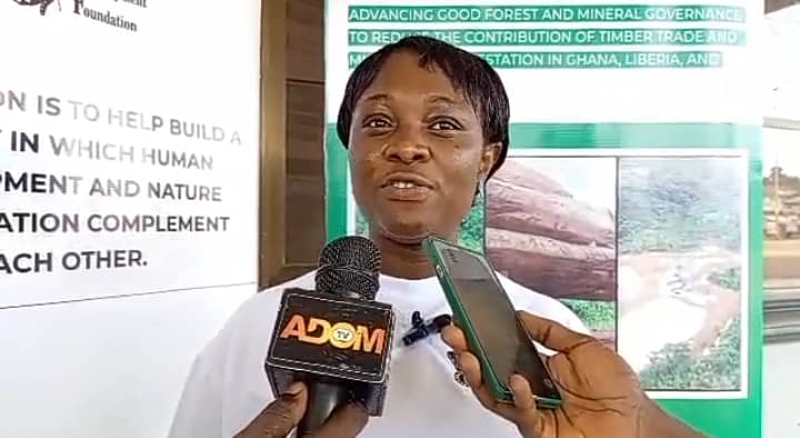 C/R: Timber sector urged to strengthen compliance and adopt sustainable practices to improve market access
