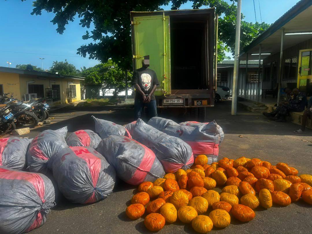 Police arrest suspect over large quantity of suspected Indian Hemp