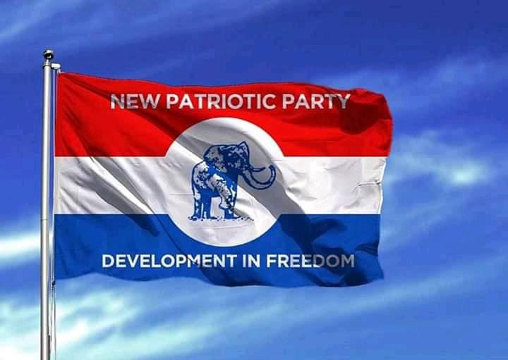 NPP rejects govt’s approach to constitutional review, calls for Constituent Assembly